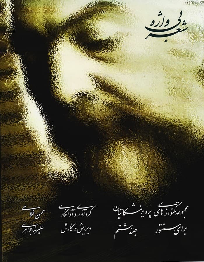 شعر بی واژه (جلد هشتم) _ مجموعه تکنوازی های پرویز مشکاتیان برای سنتور