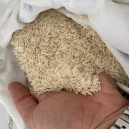 برنج طارم محلی فریدونکنار درجه یک عطری(5کیلویی)+ارسال رایگان — تصویر ۲
