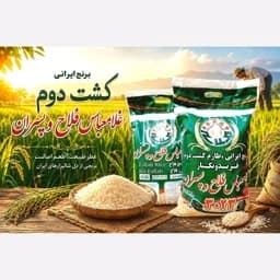 برنج طارم غلامعباس فلاح وپسران کشت دوم(ارسال رایگان) — تصویر ۲