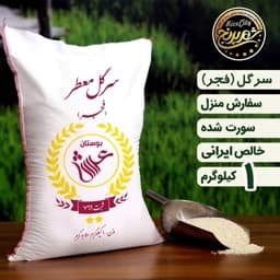 برنج سرگل معطر فجر گرگان نمونه یک کیلویی (تضمین کیفیت) — تصویر ۲
