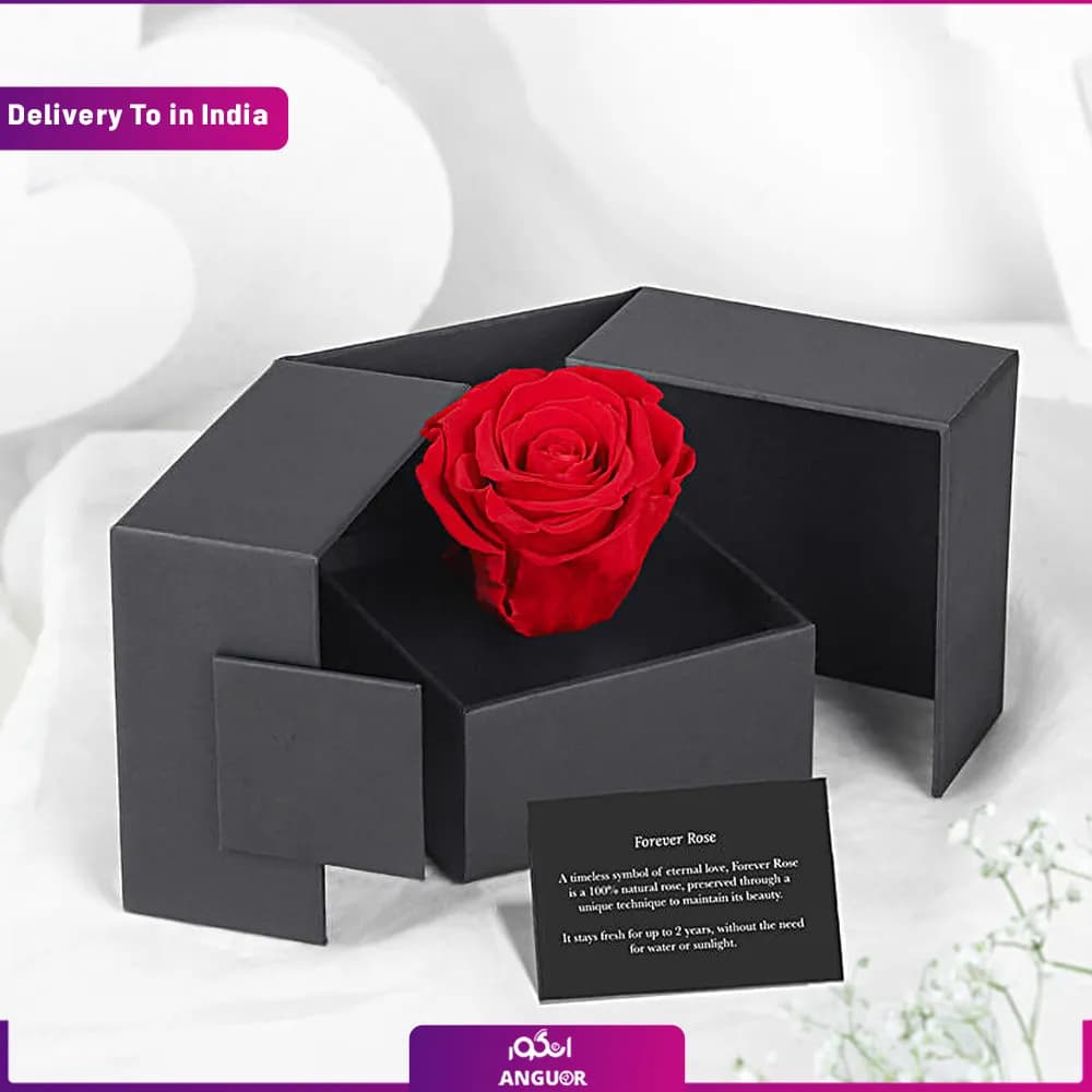برای همیشه عشق (تحویل در هند)
