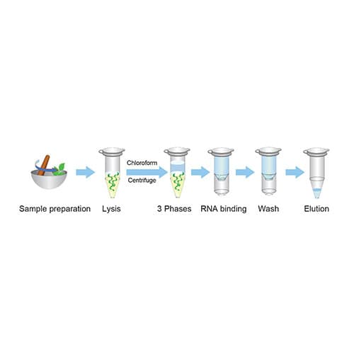 کیت استخراج DNA گیاهی پارس توس Plant DNA Extraction kit