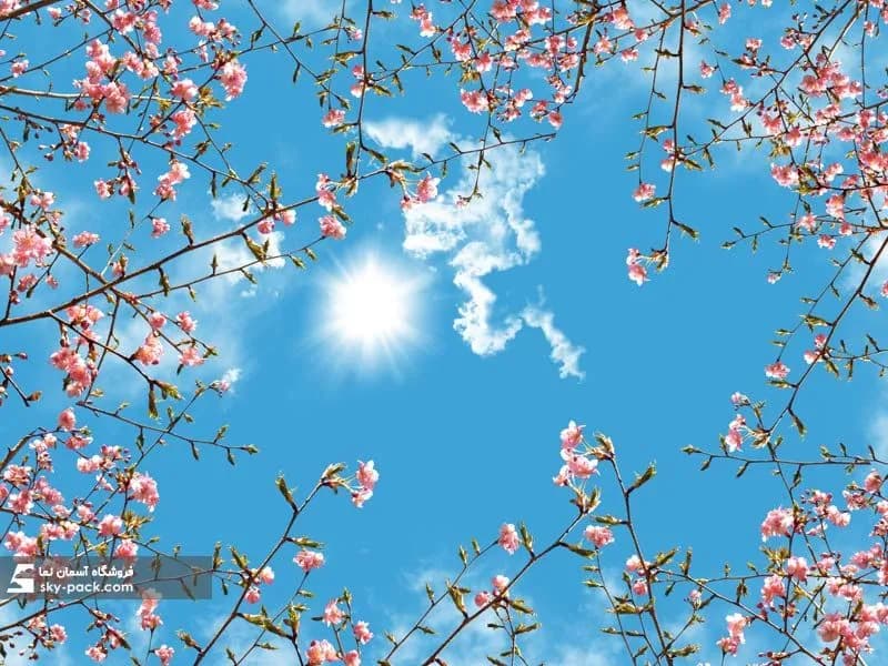آسمان مجازی طرح گلهای ریز صورتی — تصویر ۲