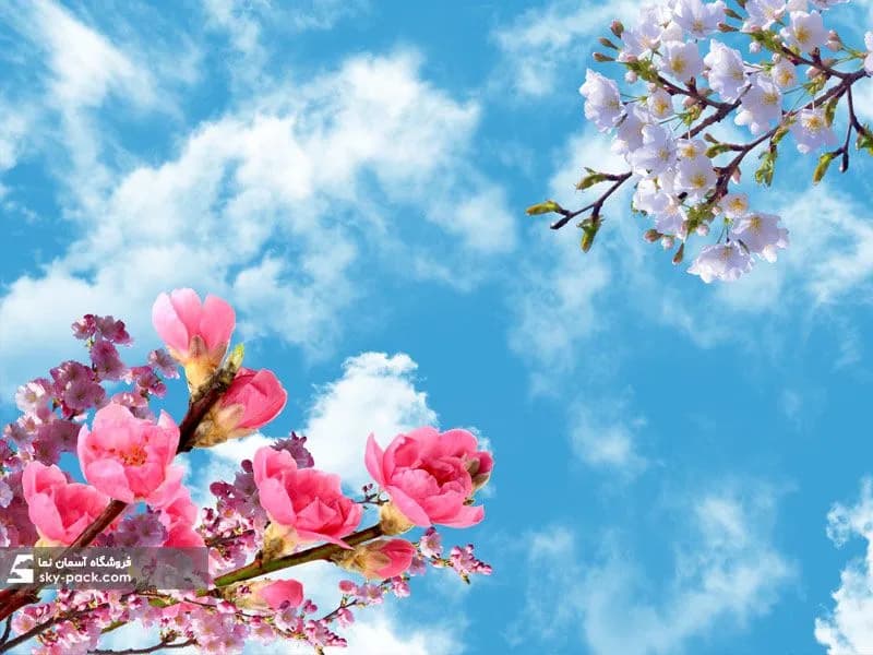 آسمان مجازی طرح شکوفه سیب — تصویر ۲