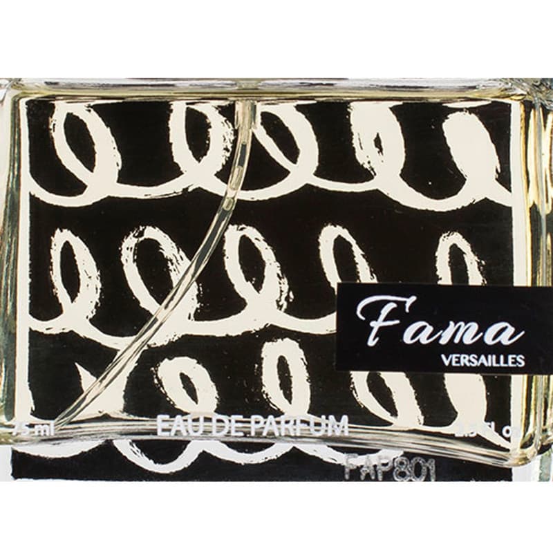 ادو پرفیوم مردانه ورسای مدل فاما Fama حجم ۷۵ میلی لیتر | Versailles Fama Eau de Parfum For Men 75 ml — تصویر ۲