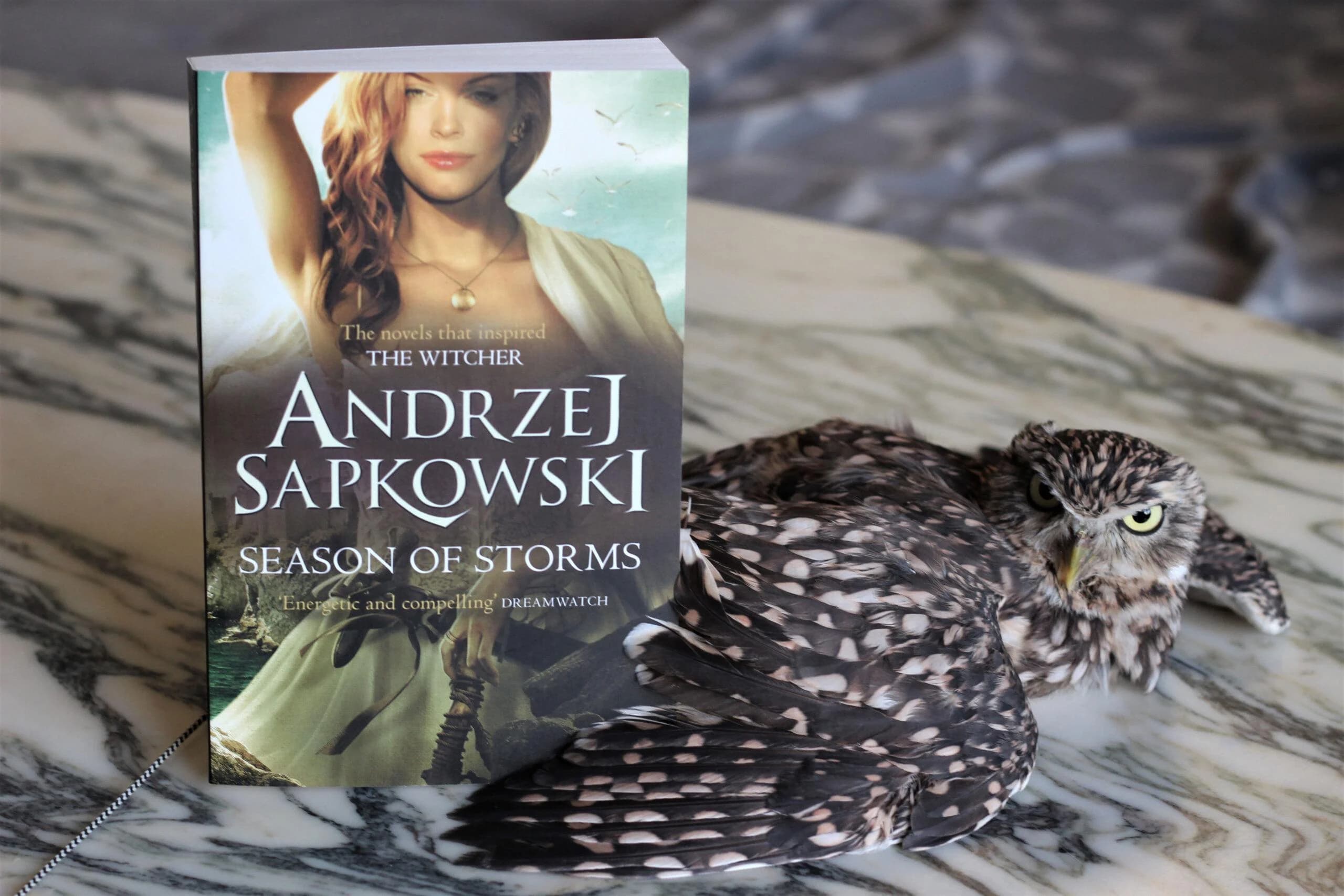 رمان The Witcher 8 – Season of Storms — تصویر ۲
