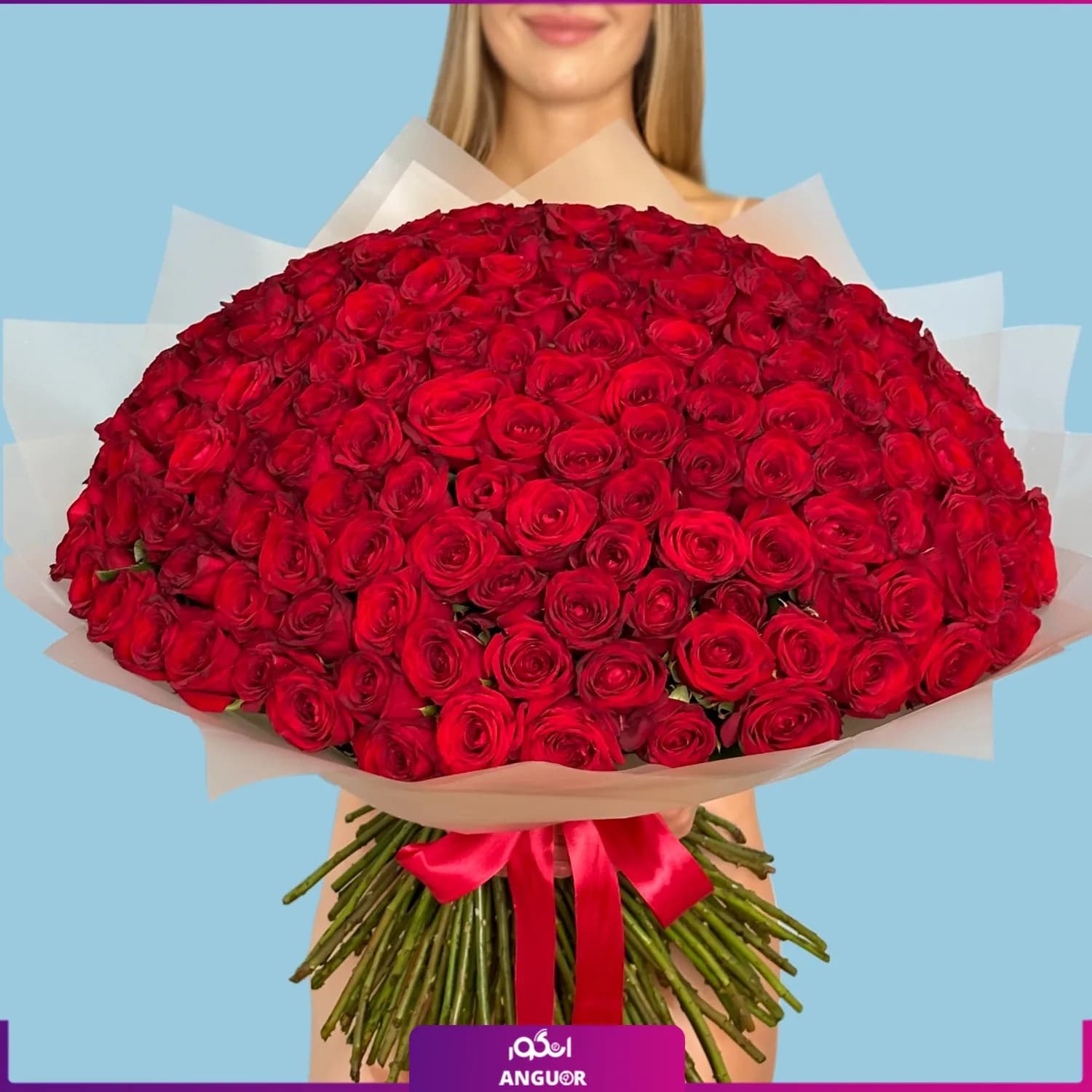 دسته گل بزرگ رز قرمز هلندی – ۲۰۰ شاخه