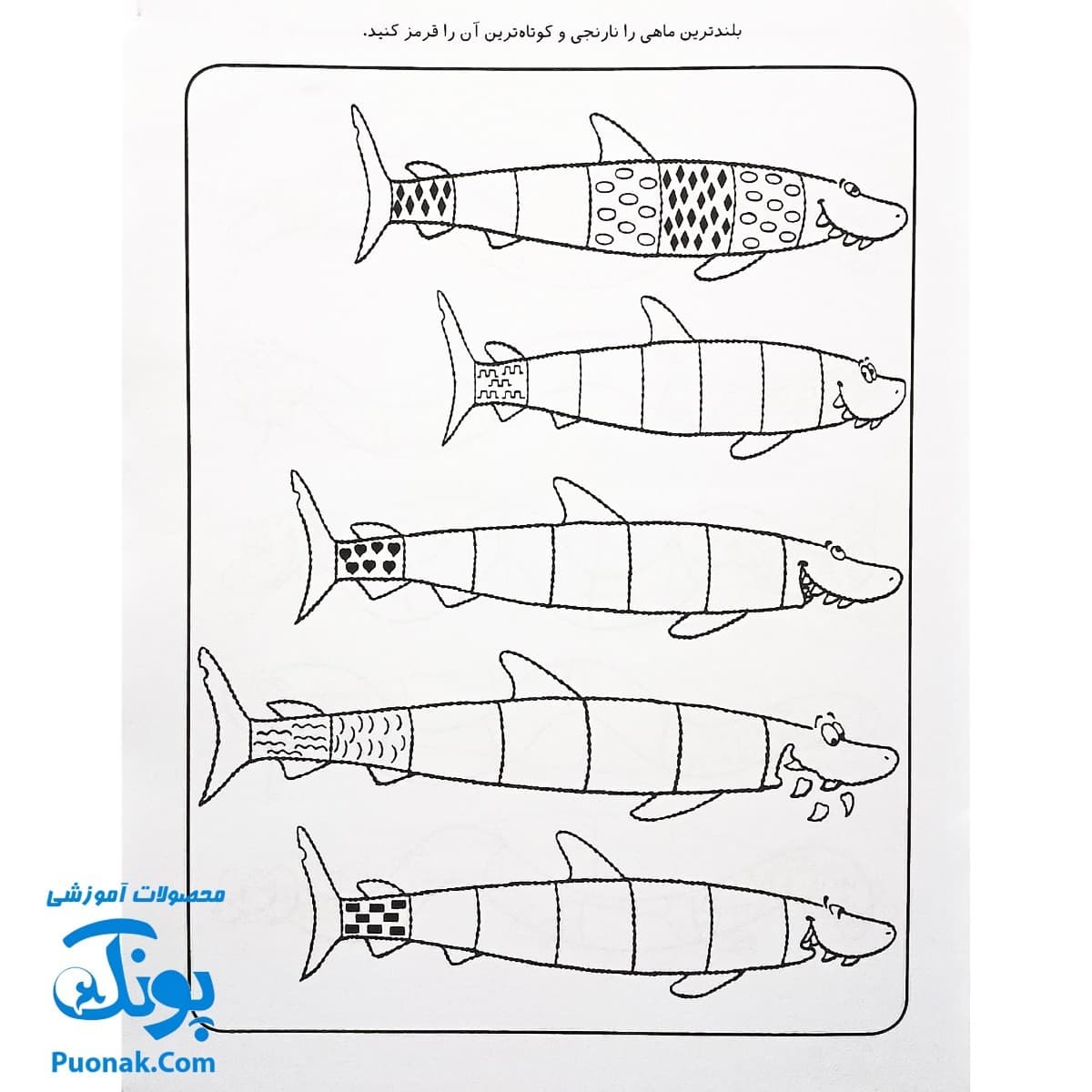 کتاب کار کودک مفاهیم اولیهی ریاضی (مجموعه قاصدک دانایی ۶) — تصویر ۴