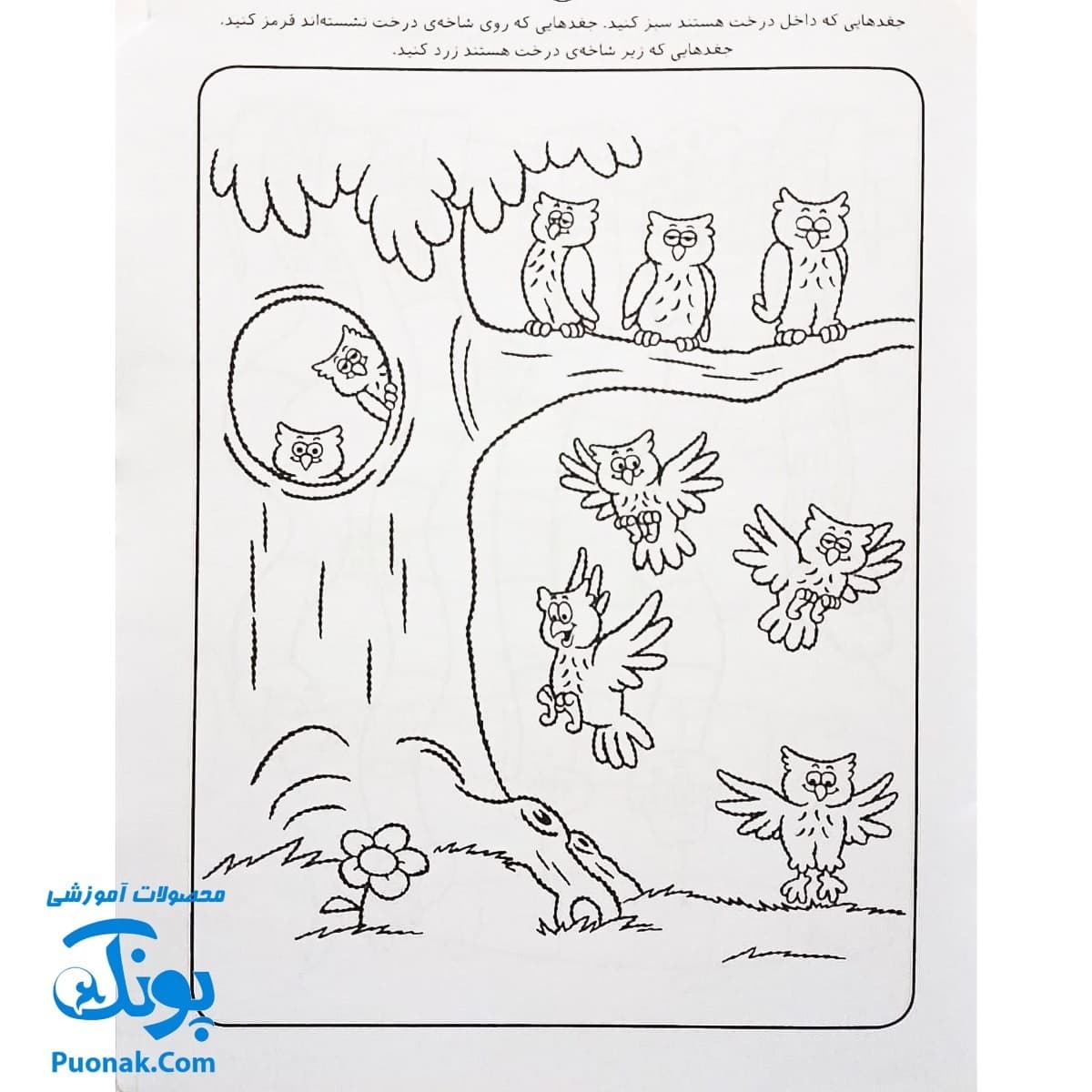 کتاب کار کودک مفاهیم اولیهی ریاضی (مجموعه قاصدک دانایی ۶) — تصویر ۳