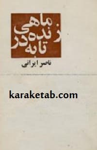 ماهی زنده در تابه — تصویر ۳