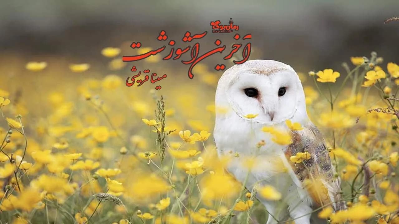 و دانلود نسخه کامل رمان آخرین اشوزشت | رمان عاشقانه | رمان بزرگسال | رمان اجتماعی