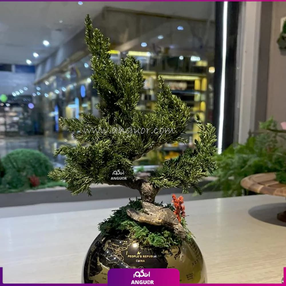 بونسای روی کره زمین — تصویر ۲