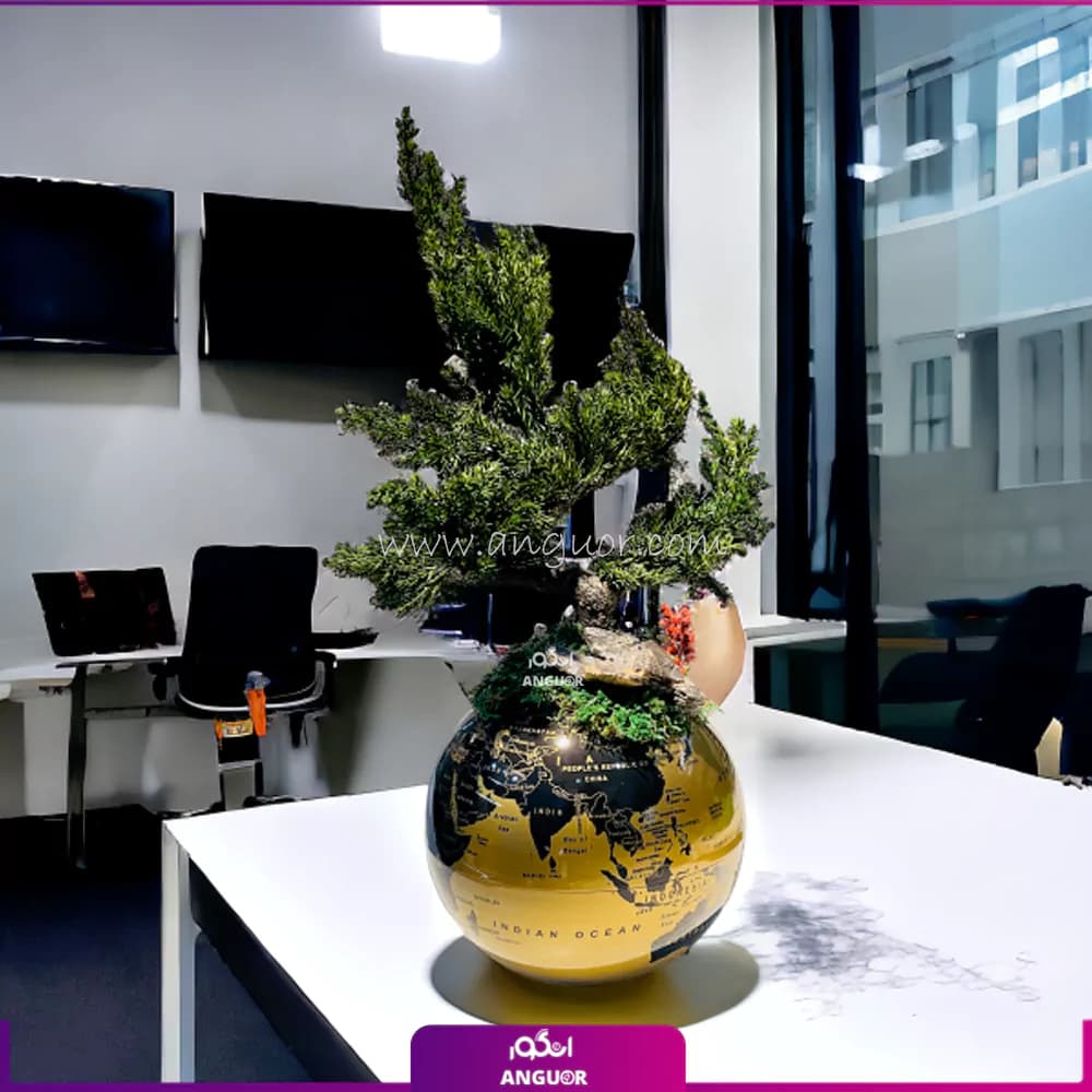 بونسای روی کره زمین — تصویر ۳