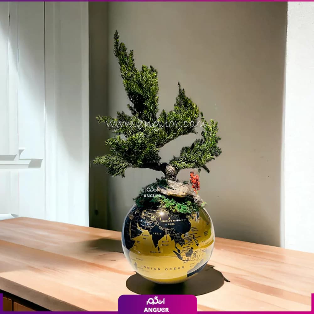 بونسای روی کره زمین