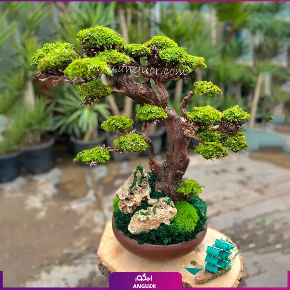درختچه طبیعی کهن با گلدان قهوه ای (سایز بزرگ)