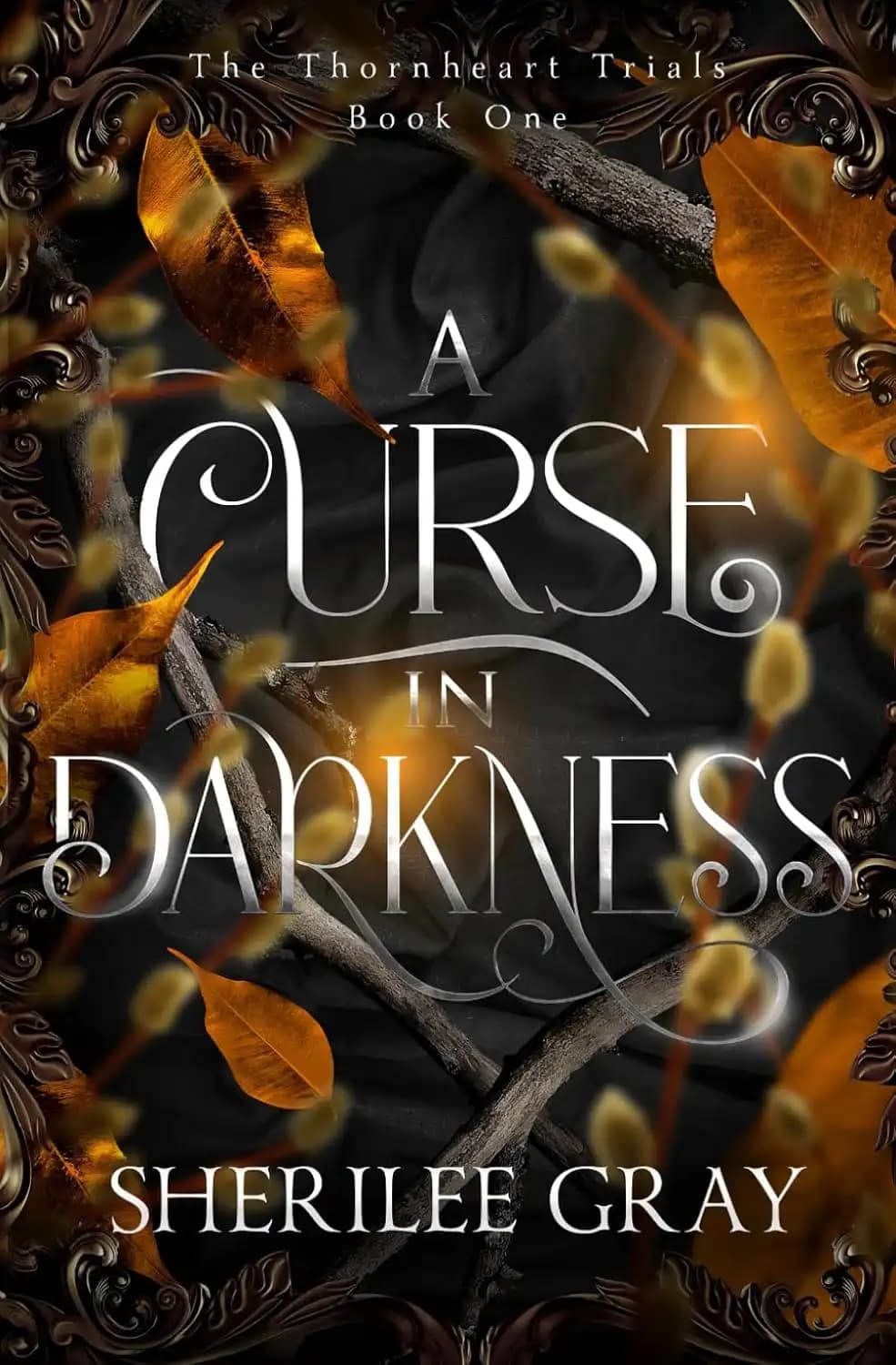 کتاب نفرینی در تاریکی (A Curse in Darkness) نسخه انگلیسی PDF | شریلی گری