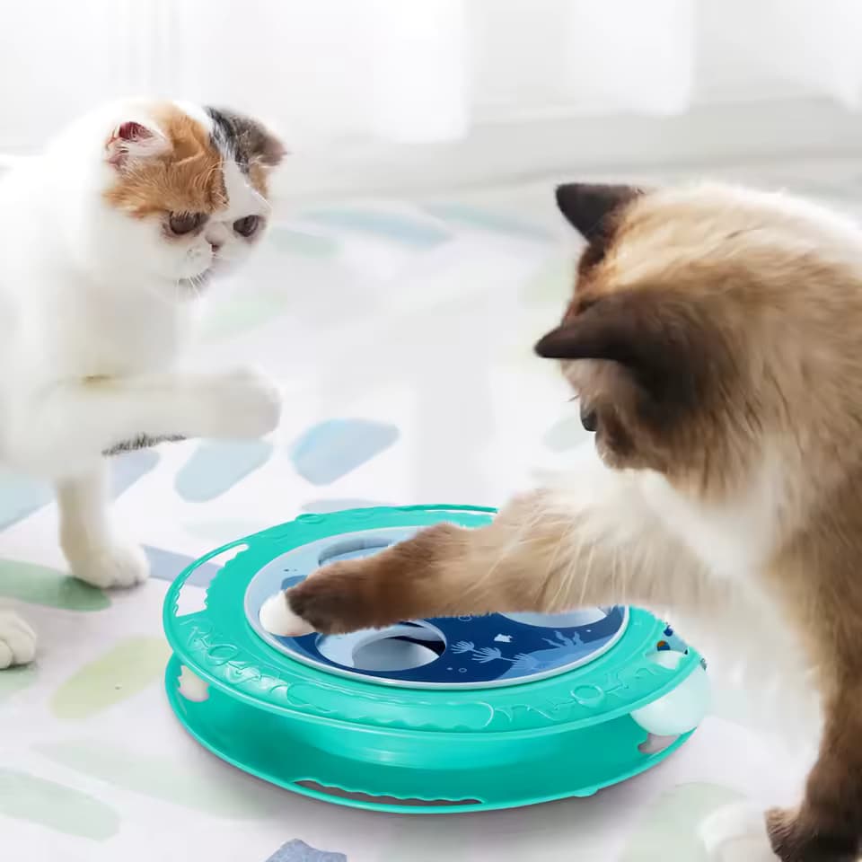 اسباب بازی تعاملی گربه و سینی اسنک هوشمند مدل Cat Basin — تصویر ۴