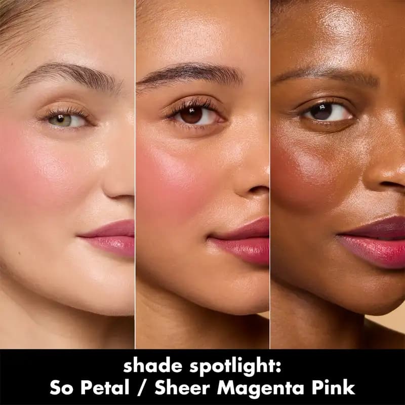 تینت لب و گونه الف e.l.f SHEER FOR IT BLUSH TINT حجم6.8ml — تصویر ۲