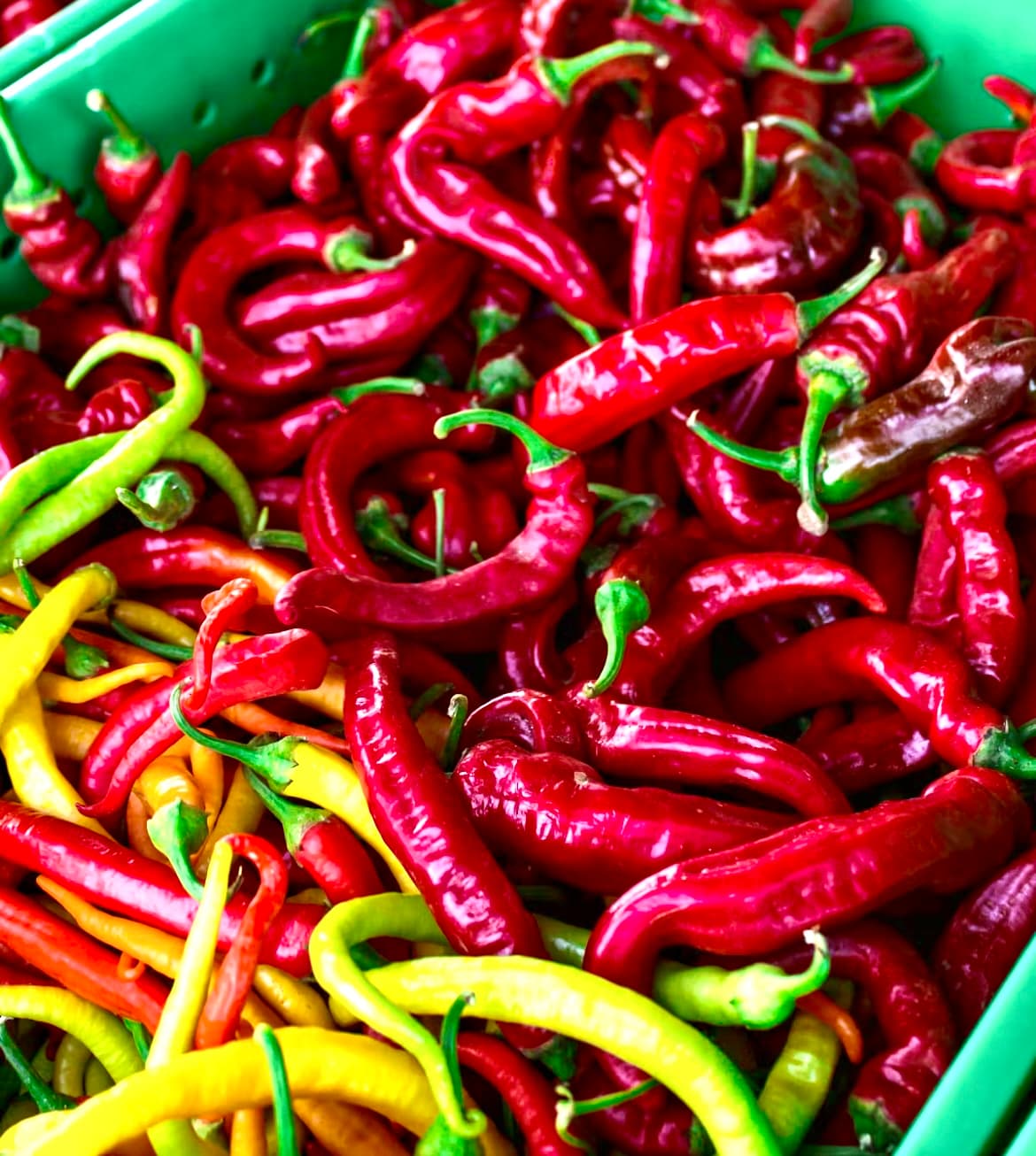 ادویه فلفل قرمز اتشین ویژه Red Pepper سارینا ماسالا — تصویر ۳