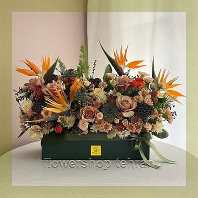 گلفروشی عمده؛ انتخابی مطمئن برای هر سن و سلیقه
