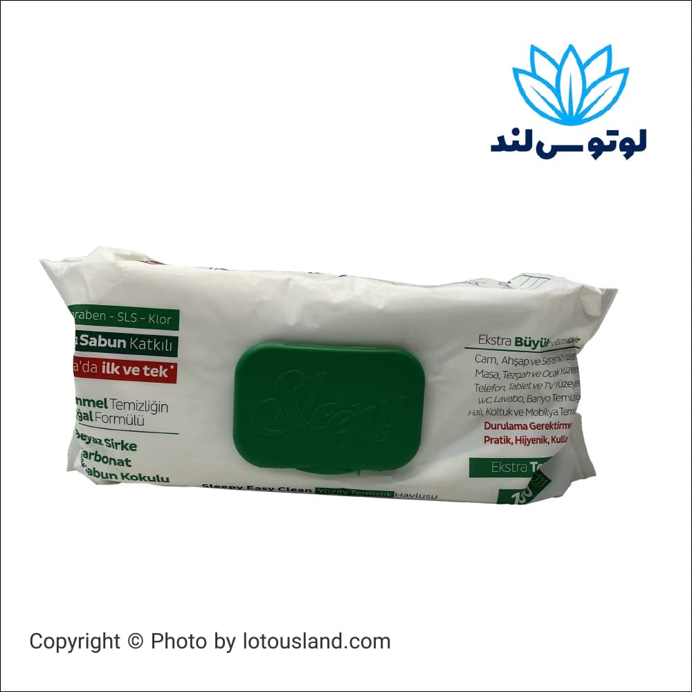 دستمال مرطوب تمیز کننده سطوح اسلیپی مدل Easy Clean سرکه سفید و جوش شیرین بسته 100 عددی — تصویر ۲