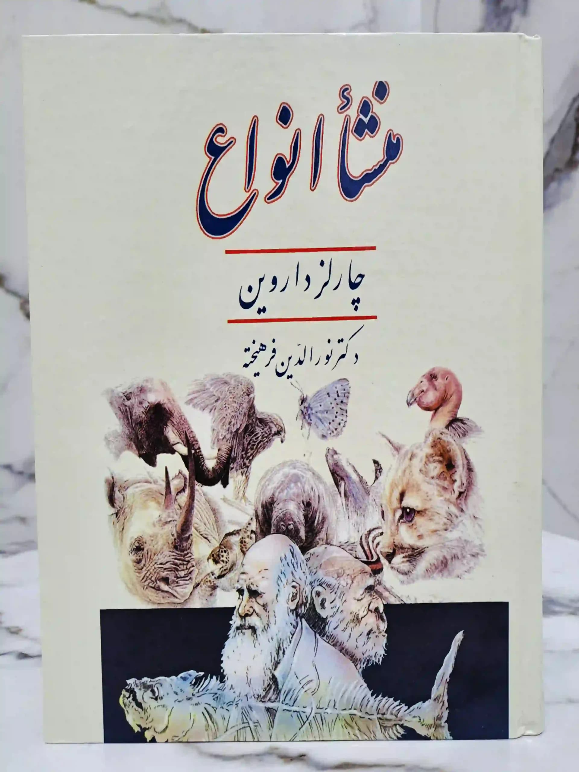 منشأ انواع