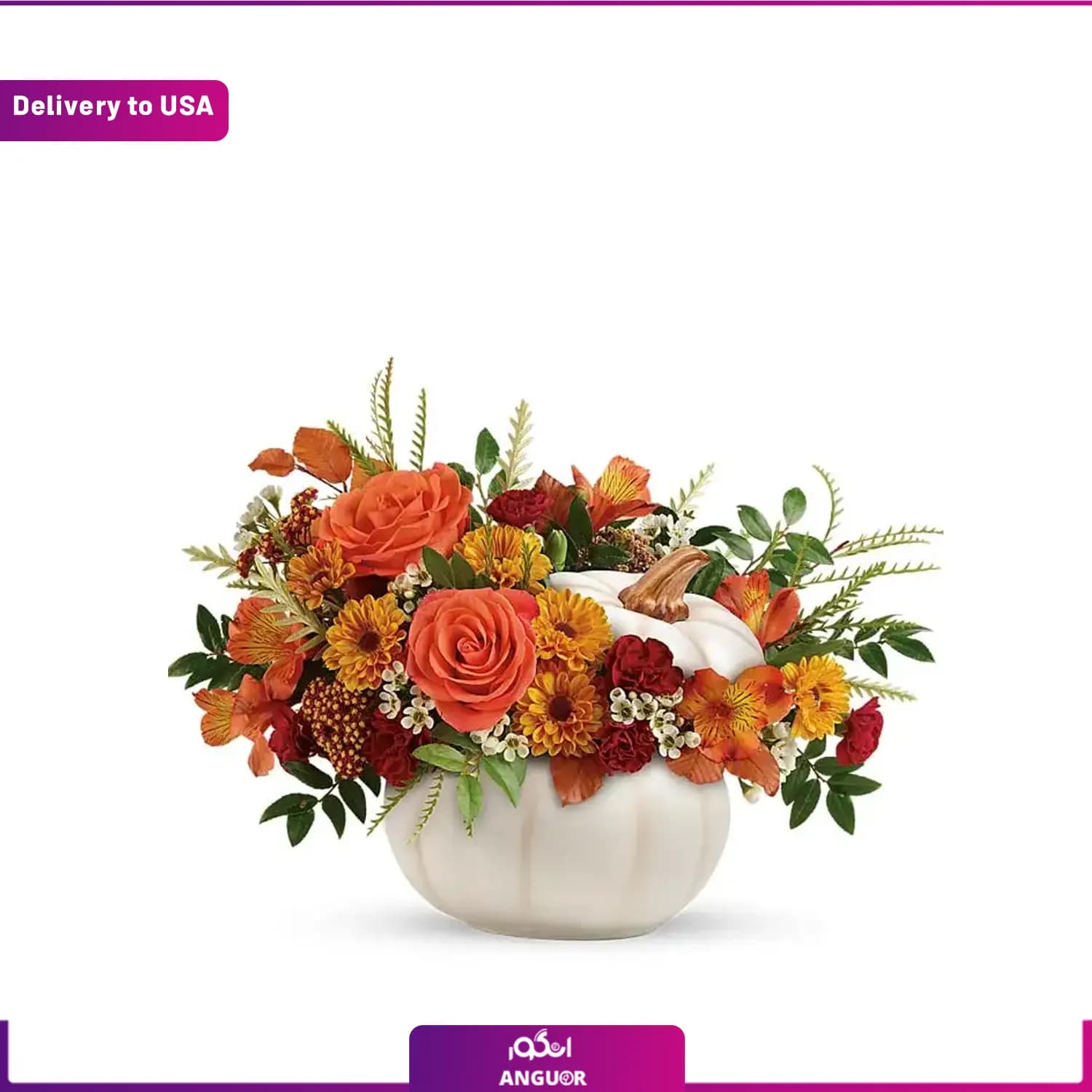 (Delivery to USA) گل هالووین به همراه کدوی سفید