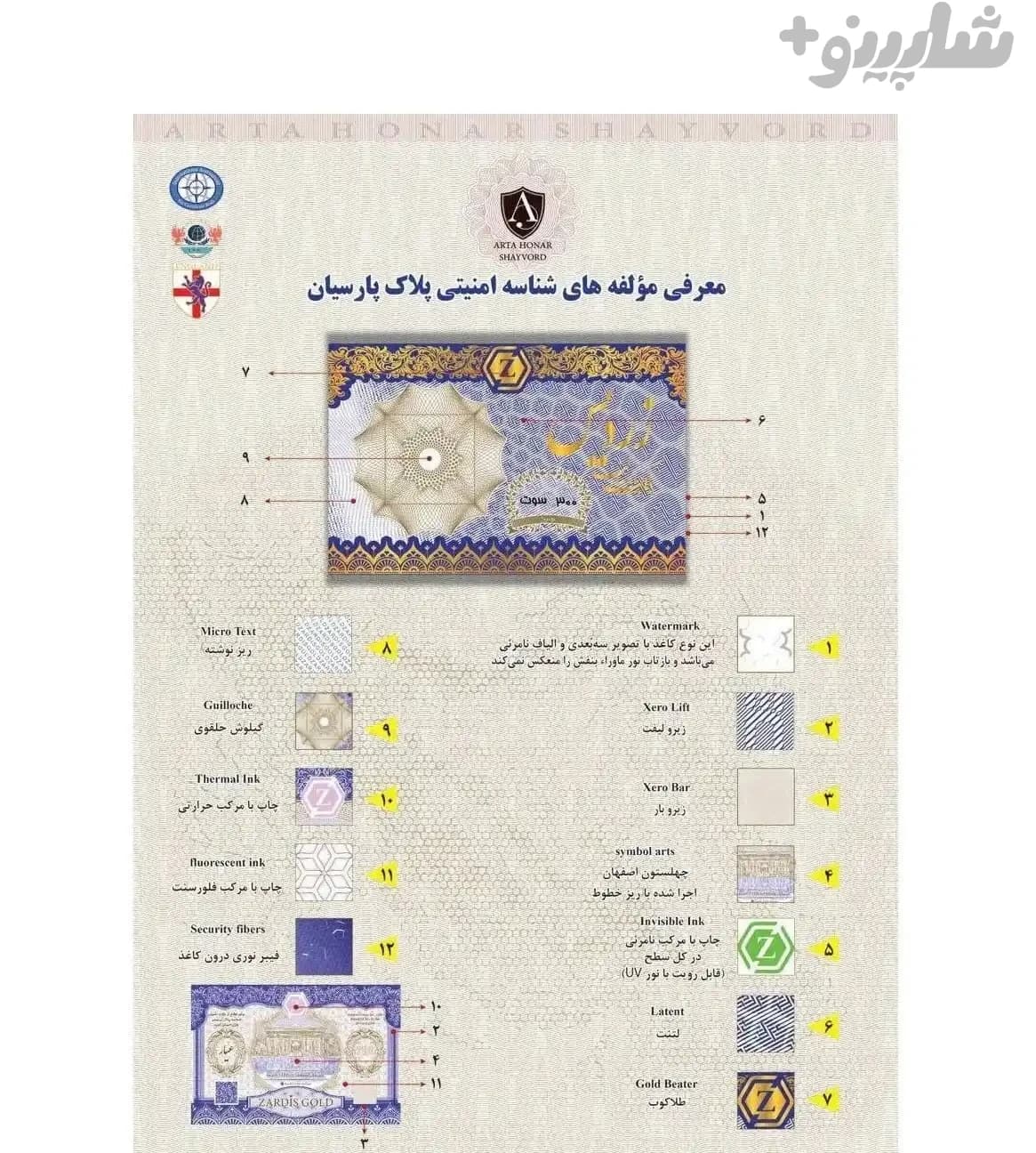 سکه پارسیان 30 سوت — تصویر ۳