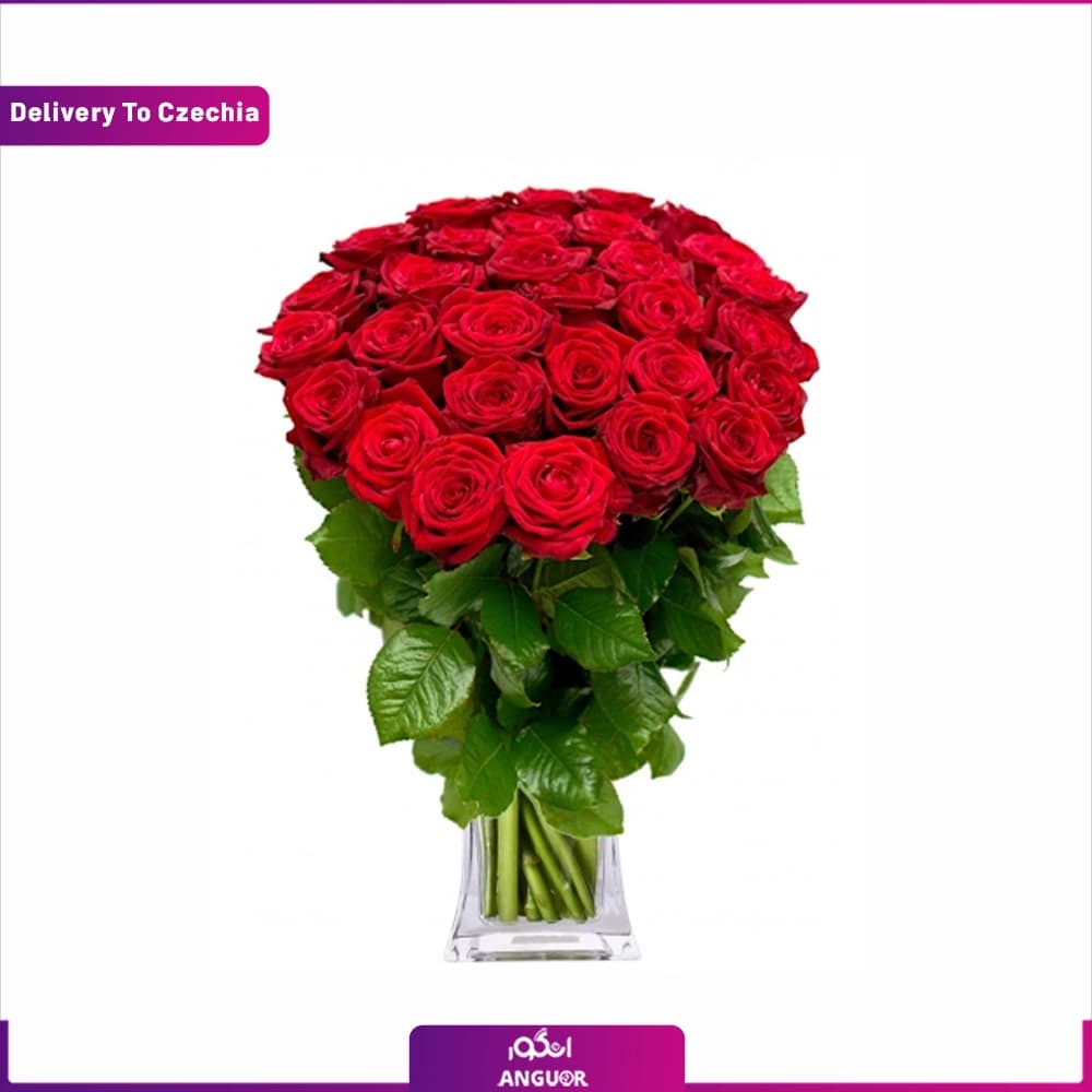 دسته گل 29 شاخه رز قرمز (تحویل گل در جمهوری چک)