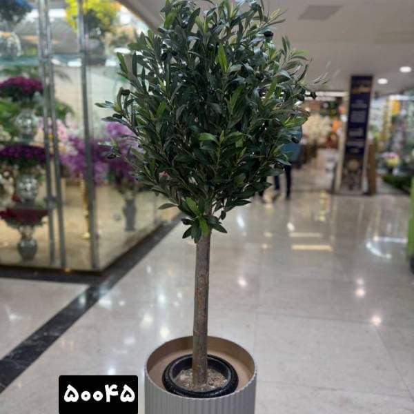 درختچه مصنوعی زیتون 130 سانت تنه چوب