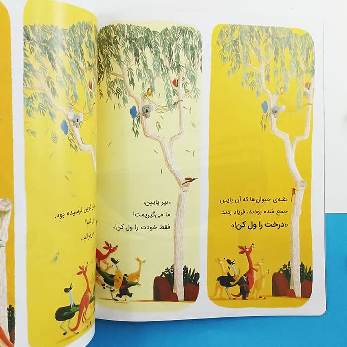 کوالایی که دیگه میتونه – اعتماد به نفس — تصویر ۵