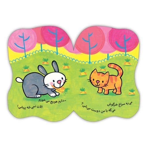کتاب فومی پیشی دلش دوست میخواد — تصویر ۲