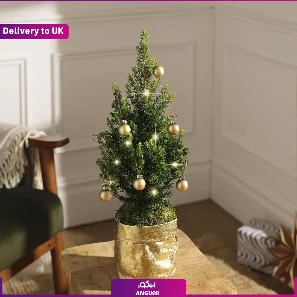The Classic Tiny Tree (تحویل نگلستان)