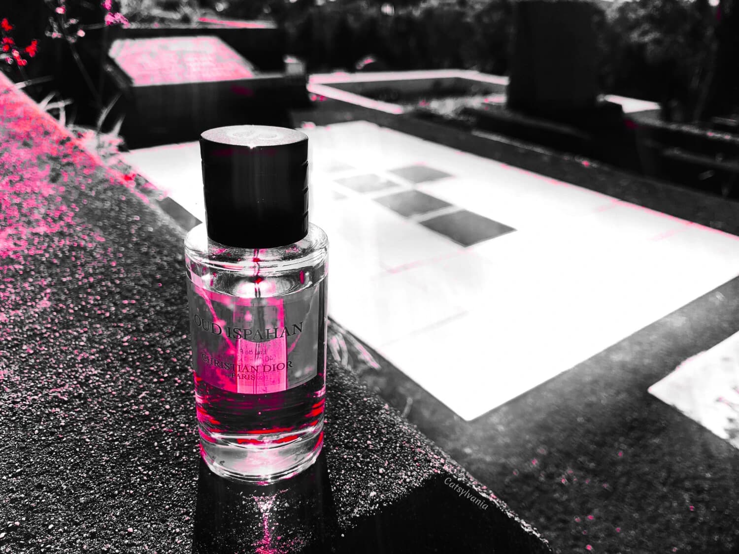 عطر ادکلن دیور اسپهان (عود اصفهان) 200 میل | Dior Oud Ispahan — تصویر ۷