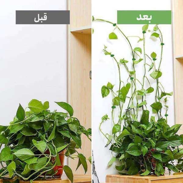 گیره نگهدارنده مدل برگ بسته 10 عددی — تصویر ۶