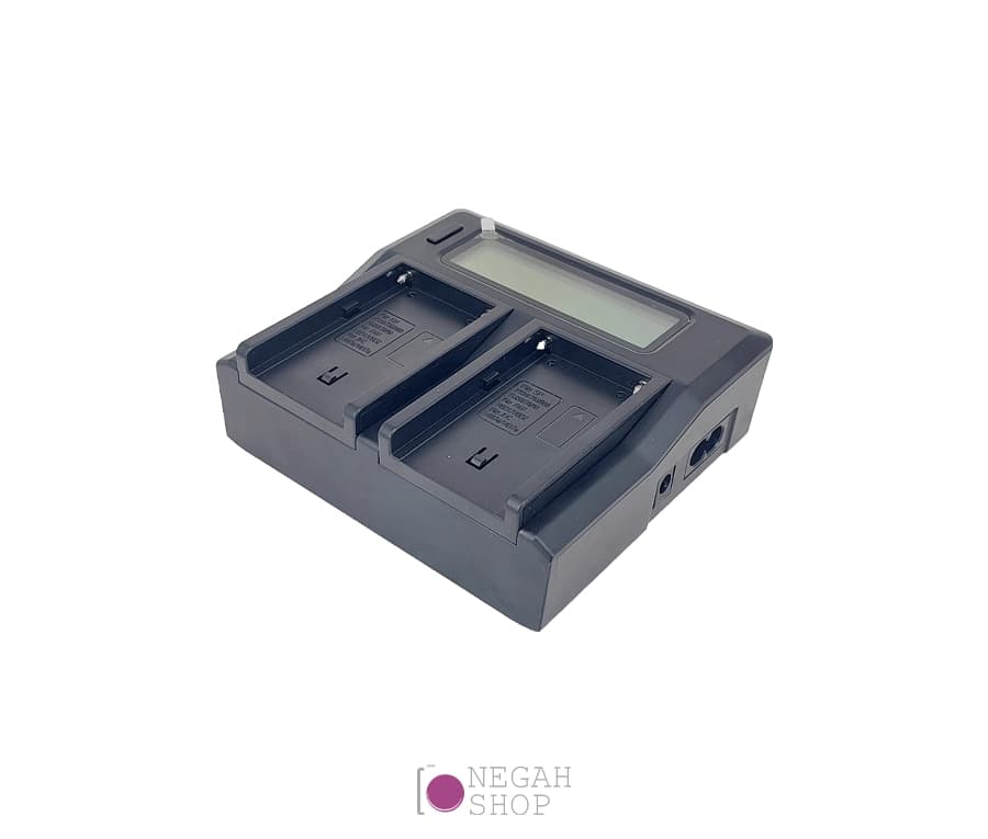 شارژر دوبل باتری Kingma BM021 مناسب برای باتری NP-F / NP-FM