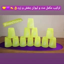 بازی فکری لیوان چینی سری حرفه ای مدل 363 بسته 12 عددی به همراه مت — تصویر ۵