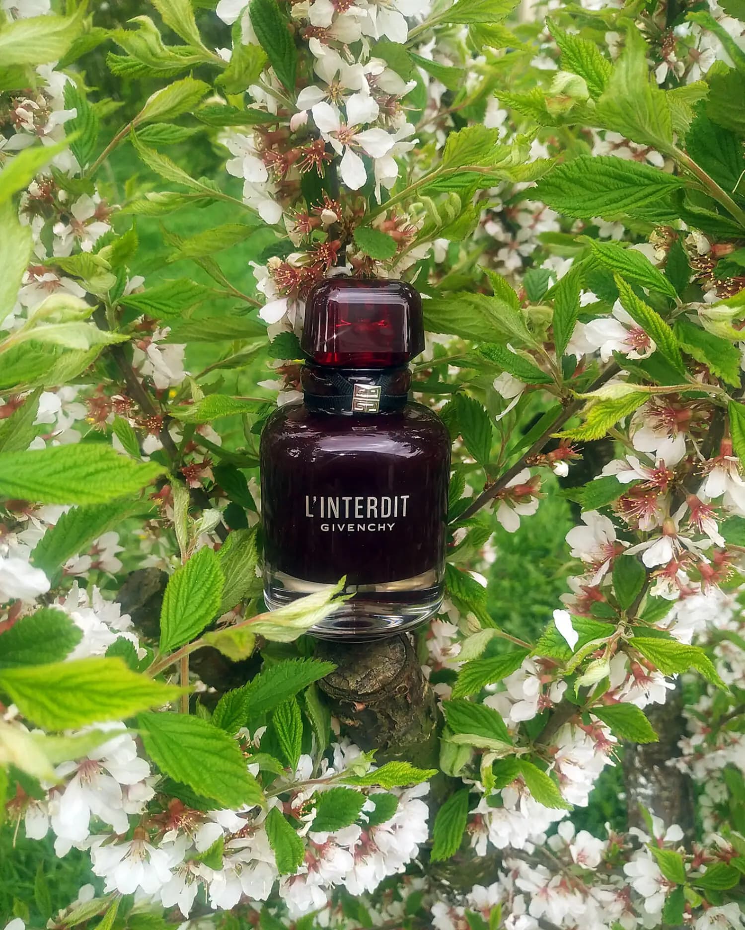 عطر ادکلن جیوانچی له اینتردیت ادوپرفیوم رژ اصل | Givenchy L Interdit Eau de Parfum Rouge — تصویر ۵