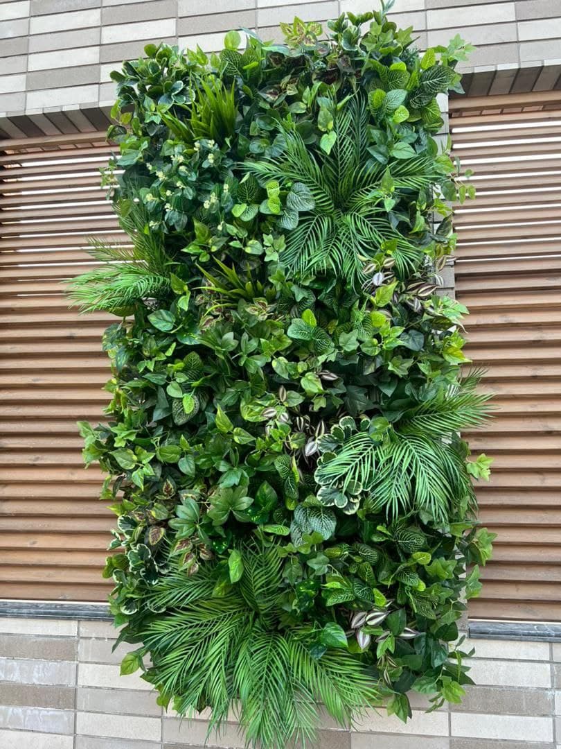دیوار سبز استوایی انیل — تصویر ۲