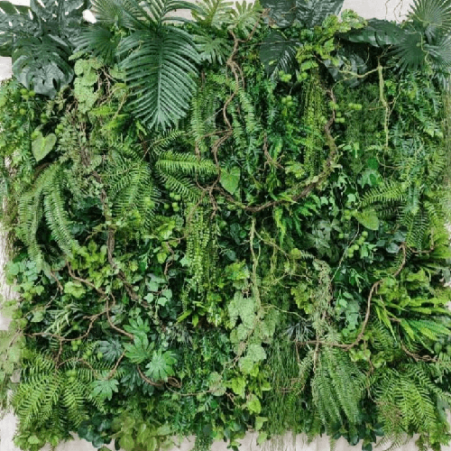 دیوار سبز استوایی آنیل