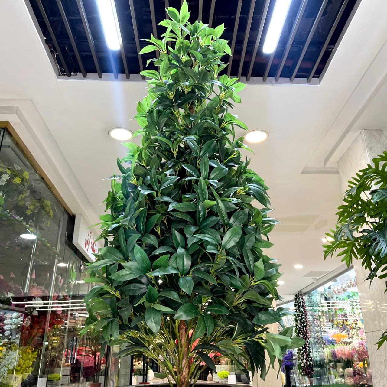 درختچه چای مصنوعی — تصویر ۳