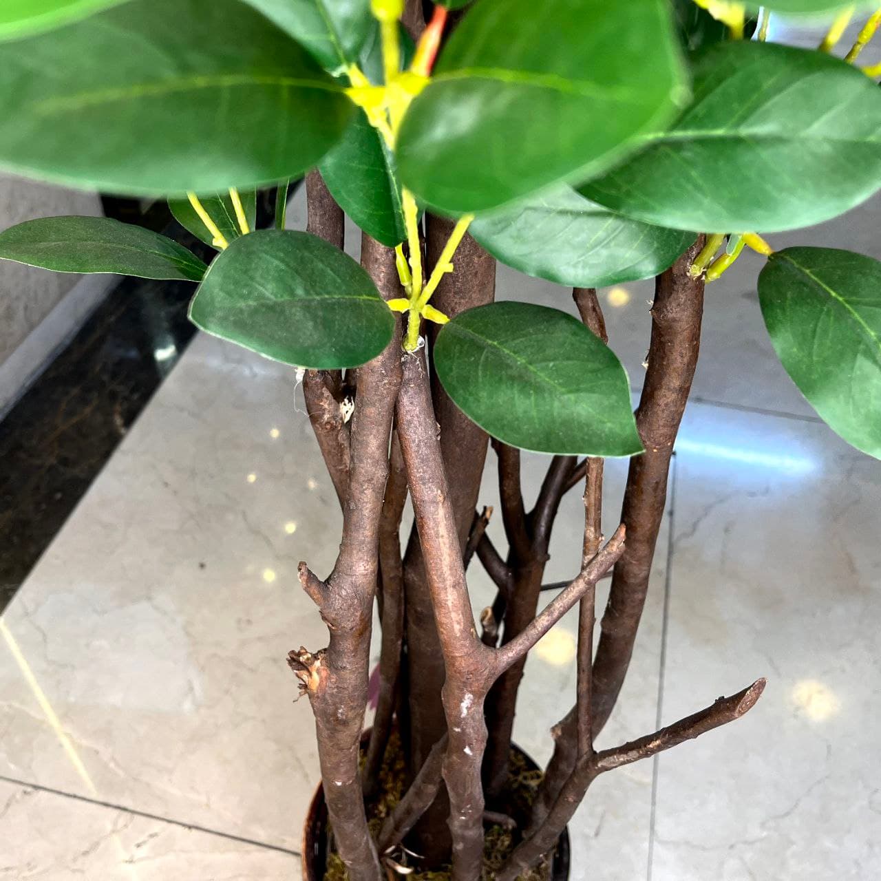 درختچه بونسای چای مصنوعی — تصویر ۴