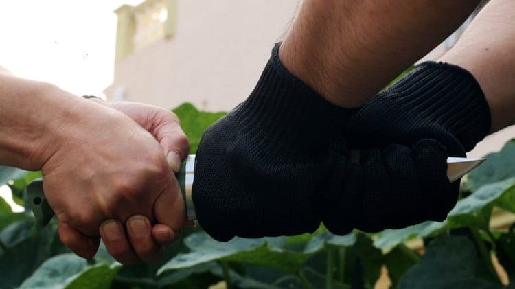 دستکش ضد برش و چاقو — تصویر ۳
