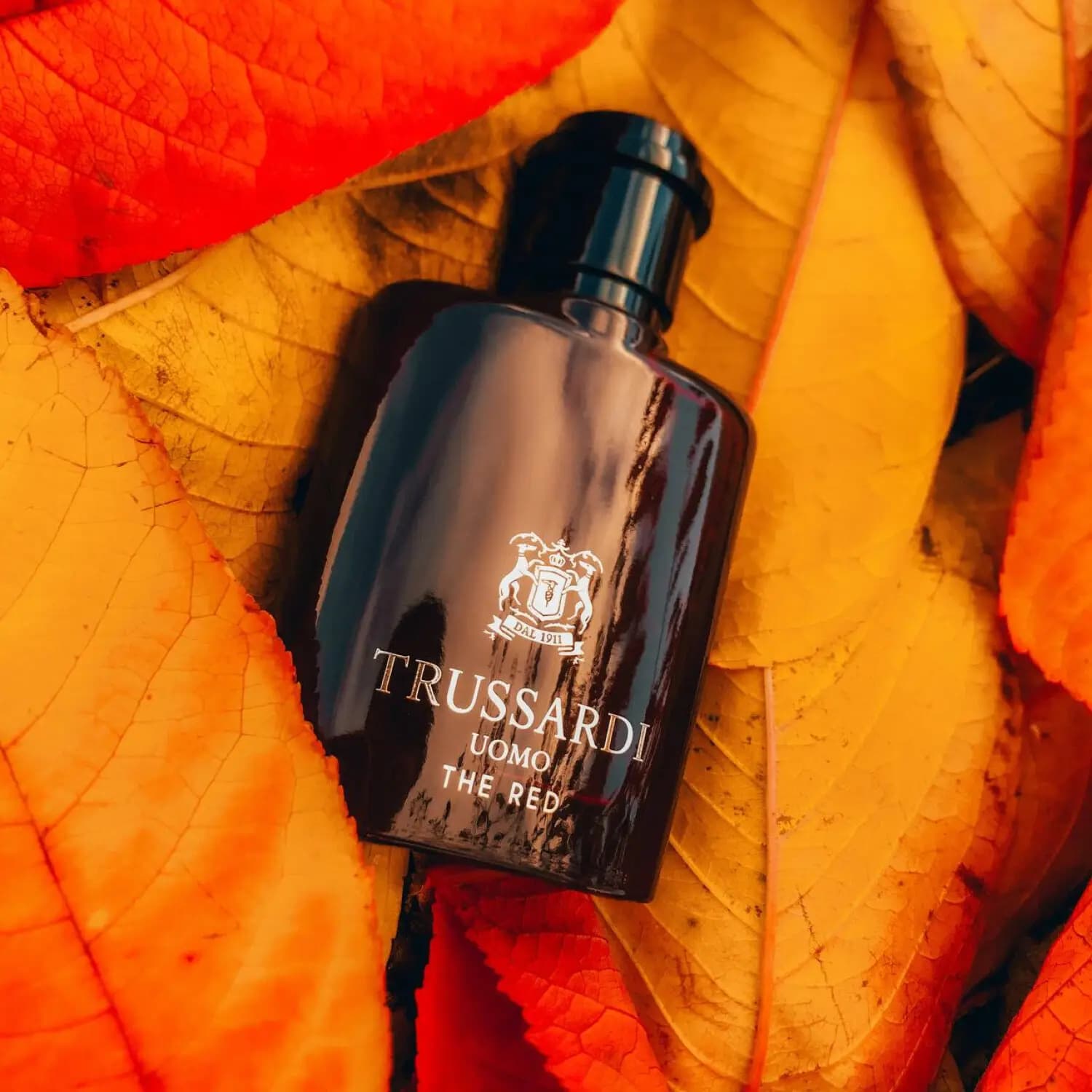عطر ادکلن تروساردی اومو د رد اصل | Trussardi Uomo The Red — تصویر ۵