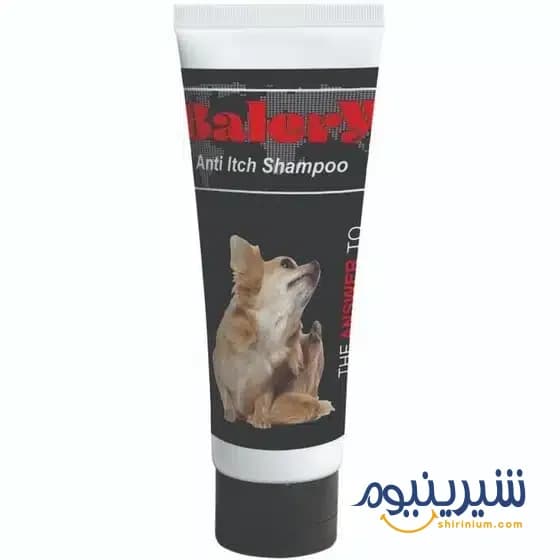 حاجی بادام سنتی یزد — تصویر ۳