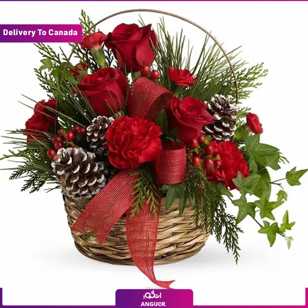 Christmas Glory (ارسال گل به کانادا)