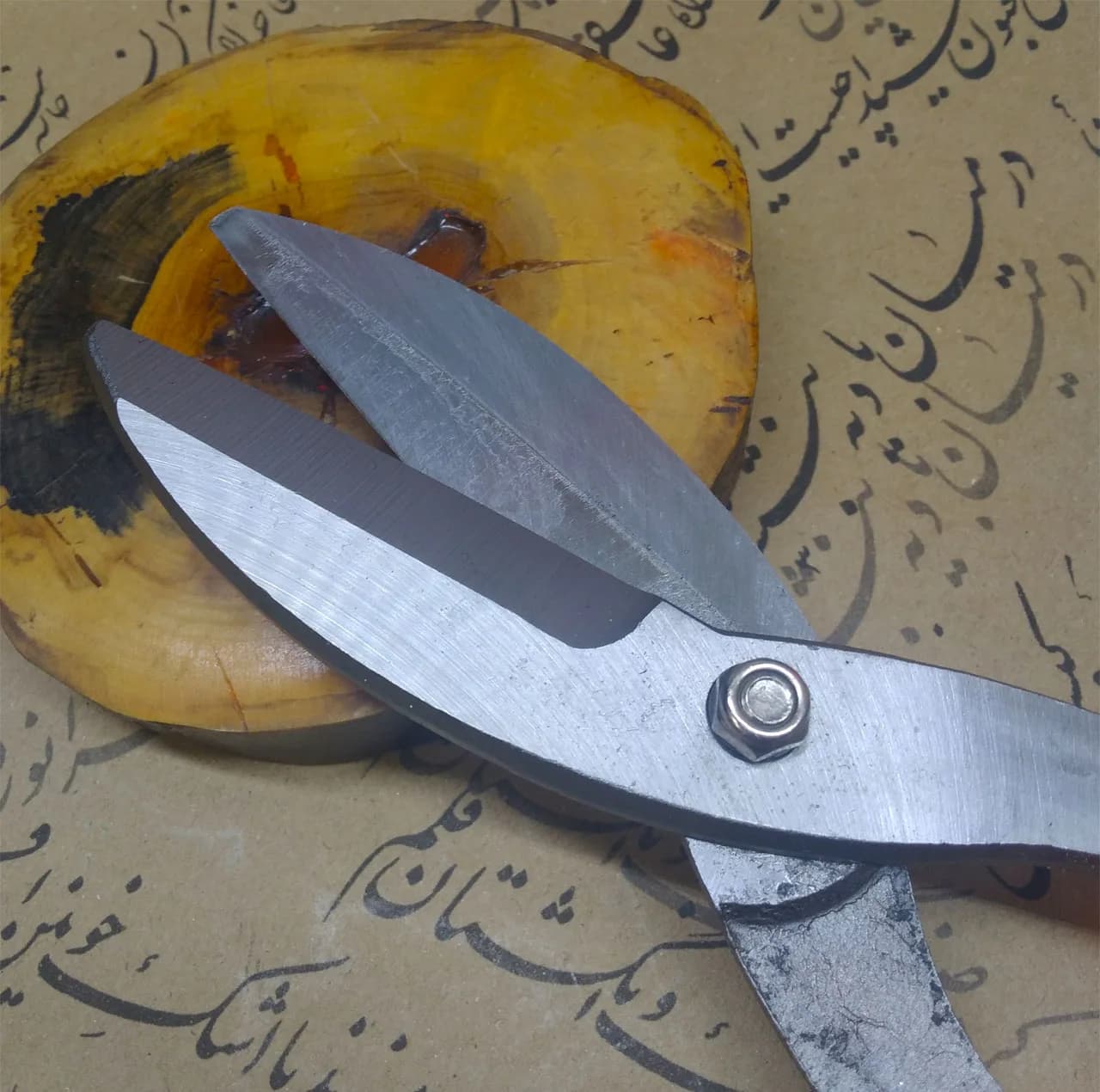 قیچی ورق بر مدل TIEPIJIAN سایز 10 اینچ — تصویر ۲