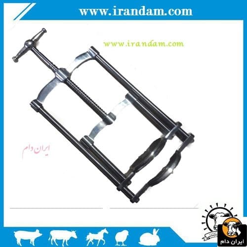 دهان باز کن اسب