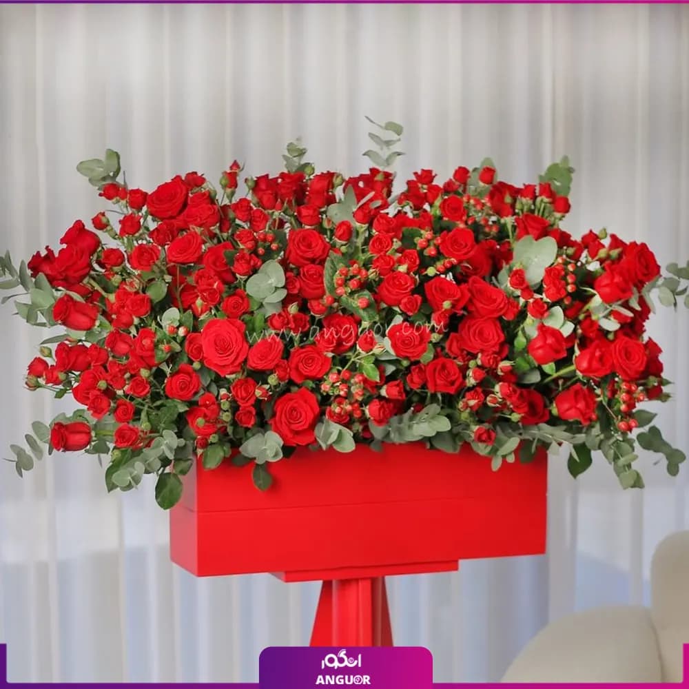 باکس یک بغل رز