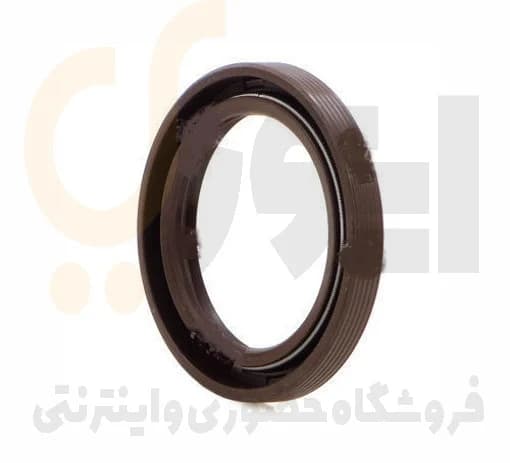 کاسه نمدمیل سوپاپ 405-سمند-پارس – ISACO – دیشتونگ اسپارتنر هامبورگ DPH — تصویر ۲